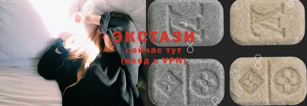 гашик Алексин