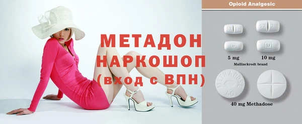 гашик Алексин