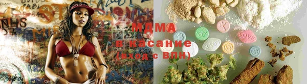 гашик Алексин